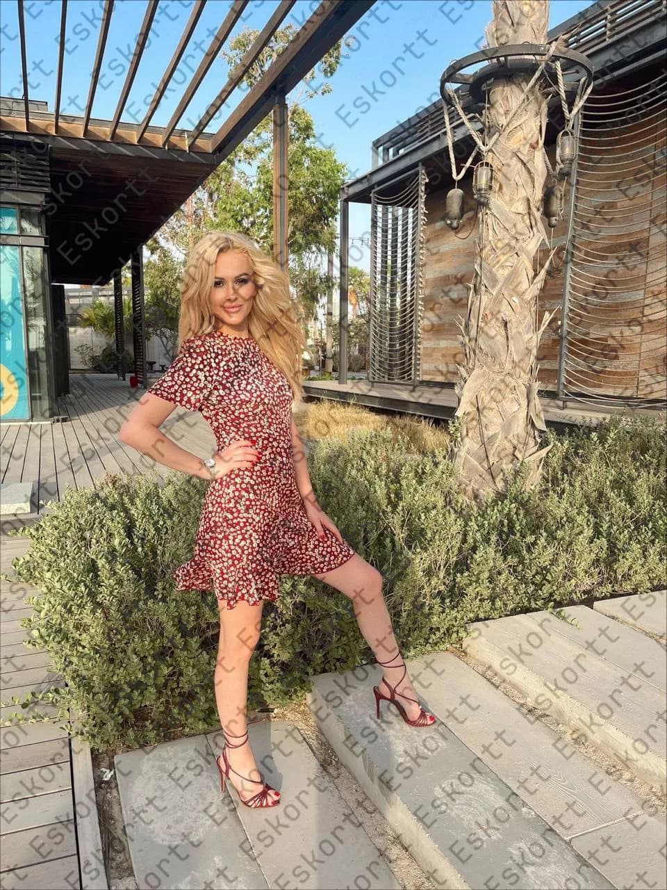 Rosi escort in Moscow