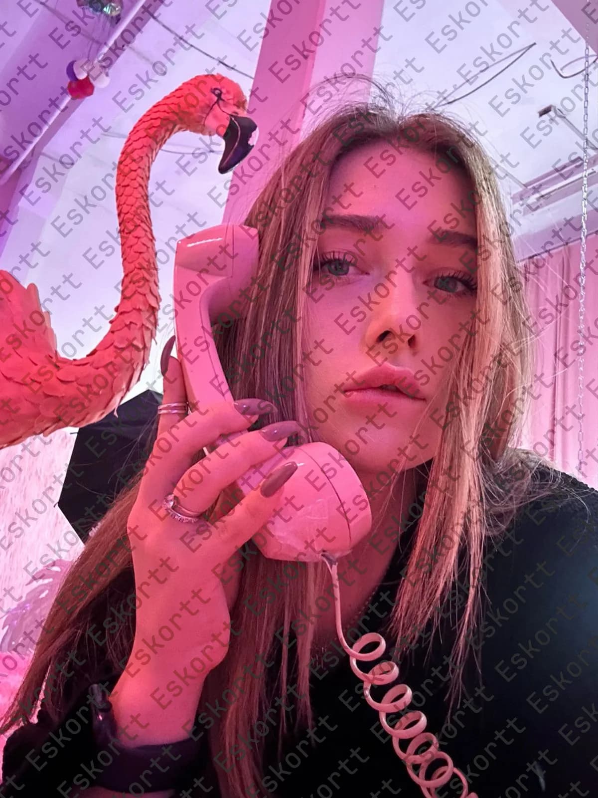 Nadine escort in Moscow