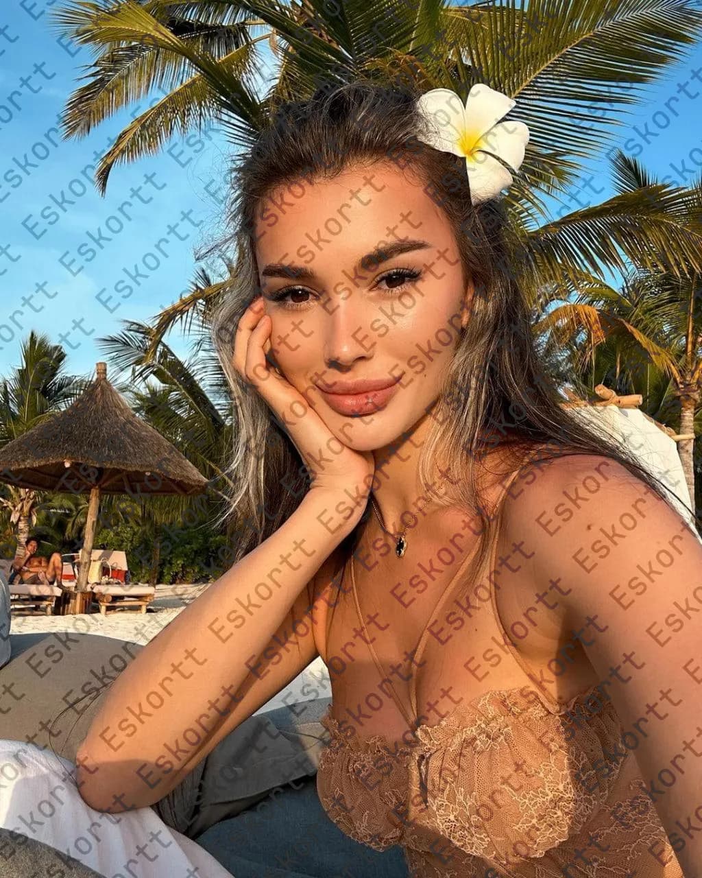 Katie escort in Moscow