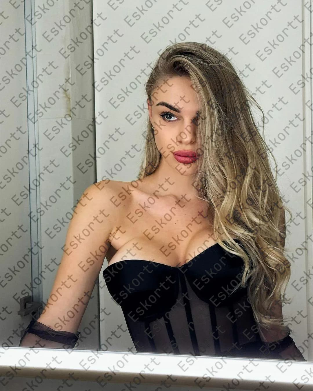 Phoenix escort in Moscow