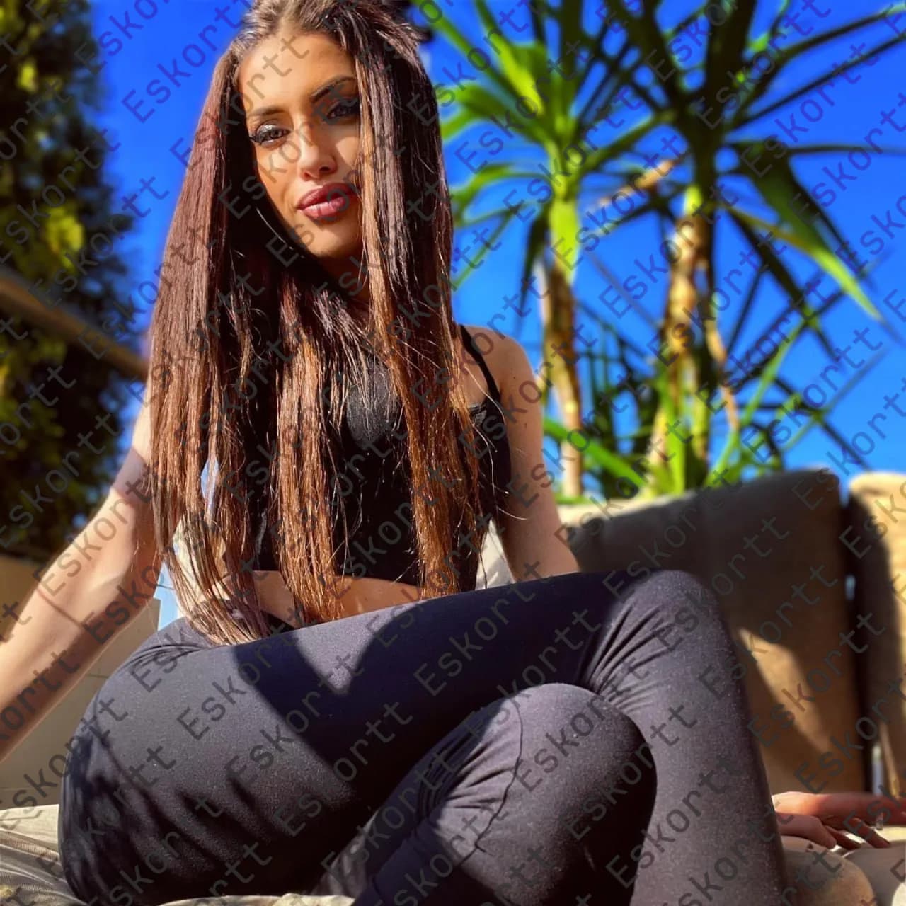 Charlie escort in Moscow