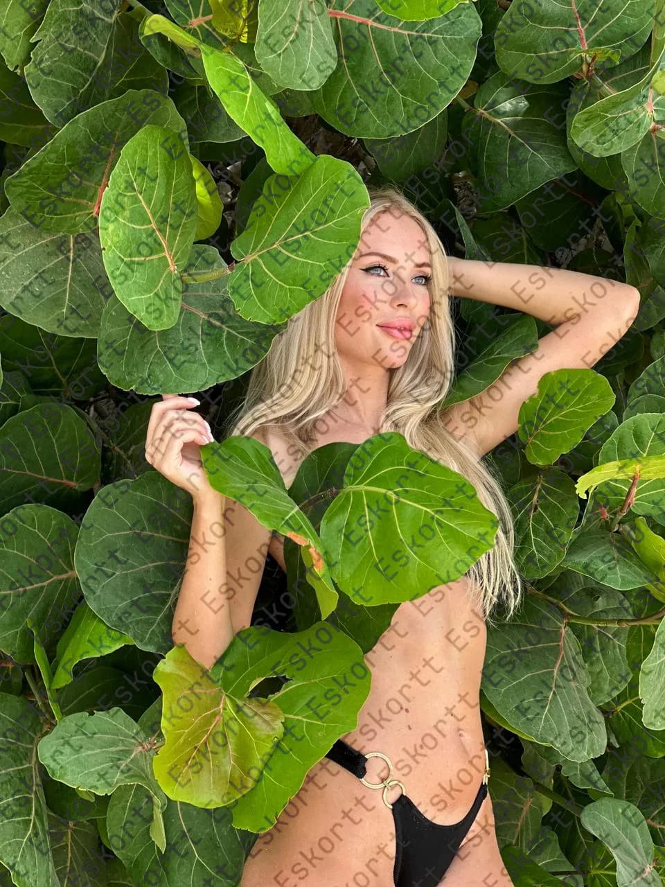 Mira escort in Moscow