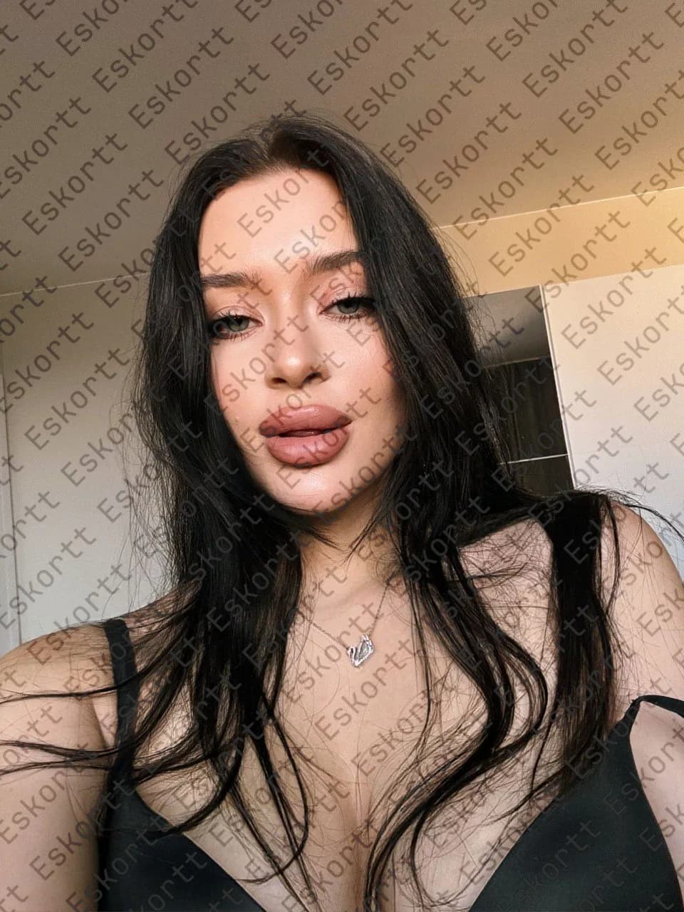 Molli escort in Moscow